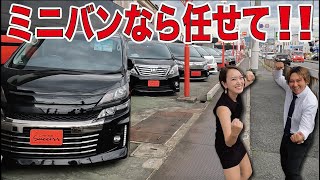 【後編】Aiちゃんと！店長おすすめアルヴェル紹介！【在庫車両紹介】