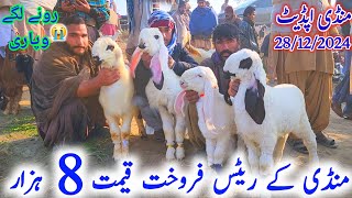 28 December 2024 Mundra Mandi Updates khredar nhe rate bilkol Munasib 0313 3502828 hassan goat farm