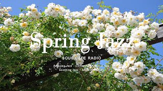 Spring Jazz |  따뜻한 느낌의 재즈 플레이리스트, 안심하다, 일하다, 공부하다 | Relaxing Jazz Piano Music for Cafe