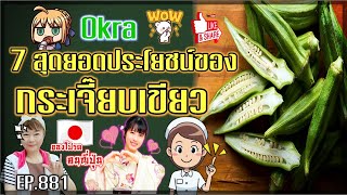 (882) 7 ประโยชน์ของ กระเจี๊ยบเขียว ของโปรดคนญี่ปุ่น !! | Okra | พี่เล็ก Lek Amazing