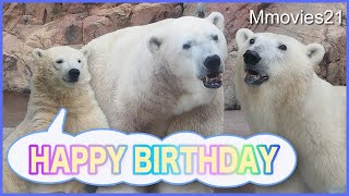 Happy Birthday Polar Bear Gota and Yuki