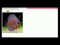 Easiest way to change image on Hover with jQuery