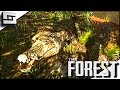 The Forest - ALLIGATOR! S2E5 ( Gameplay )