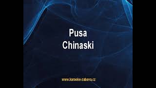 Pusa - Chinaski Karaoke tip