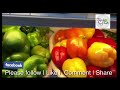 bangla vegetable shop in doha qatar