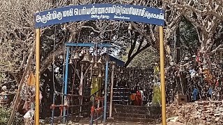 கொல்லிமலை மாசி பெரியண்ணசாமி மலைக்கோவில்