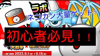 【にゃんこ大戦争】コラボステージの城とドラゴンやってみた！無料でネコカンが貰える方法を紹介！初心者必見？！#にゃんこ大戦争 #城とドラゴン #無料ネコカン #ネコカン #初心者必見