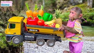 BiBi helps dad harvest fruit to cook milk for baby monkey OBi