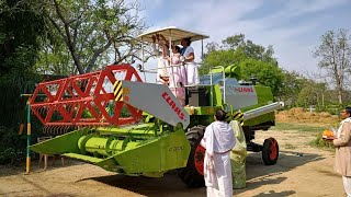 CLAAS CROP TIGER 40 M460 Multi crop @luckybackat@9569240298 @uttarpradeshweather@CLAASinIndia