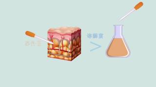 【生物】生物分子：脂质和蛋白质