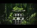 caloosh jungle meets dnb jungle dubwise drum and bass mix 2022