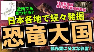 福井だけじゃない！日本各地で続々発見！全国に眠る恐竜化石スポット