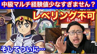 【ダイの大冒険 魂の絆】《要注意》今回中級マルチじゃレベリングは出来ません！！いくらなんでも少なすぎる！！！【ライデインストラッシュ】【ベンガーナ衣装】