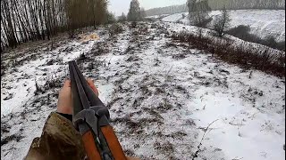 ОХОТА НА ЗАЙЦА СЛАВНАЯ БЫЛА ОХОТА ДОБЫЛИ 2 ТРОФЕЯ ТАКОГО ДАВНО НЕ БЫЛО #hunting #охота #обзор