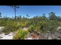 video tour .25 acres in highlands county fl hig1024