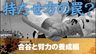 ［持たせ方の罠｜合谷と臂力の養成編］養神館合気道 精晟会渋谷の稽古