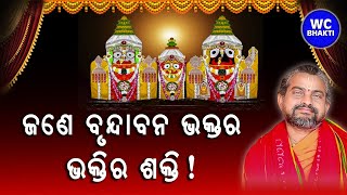 ଜଣେ ବୃନ୍ଦାବନ ଭକ୍ତର କାହାଣୀ || ସତ୍ୟାନନ୍ଦ ଦାସ || WC BHAKTI