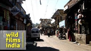 Local market of Gopeshwar, Uttarakhand