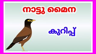 മൈന നിരീക്ഷണ കുറിപ്പ്, മൈനയെ കുറിച്ചുള്ള കുറിപ്പ്, പക്ഷി നിരീക്ഷണ കുറിപ്പ്, World of Essay Speech