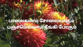 பாலைவனம் சோலையாகும் song lyrics // Palaivanam solaiyakum Tamil Christian song lyrics