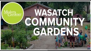 Learn About Community Gardening!