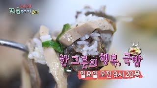 트렌드 지금 여기! - 한 그릇의 행복, 국밥 / 연합뉴스TV (YonhapnewsTV)