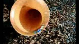 Emmentaler - Alphorn (Swiss-german)