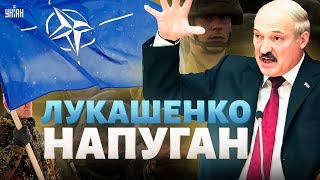 Войска НАТО вооружены до зубов и УЖЕ стоят на границе! Лукашенко завыл. Дружок Путина напуган
