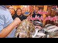 مباشراً من العنبك 🐟 سمك قنال درجة أولي اكيلة السمك اللي تقدر