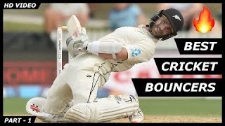 Best Cricket Bouncers Part - 1🔥
