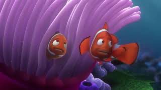 Finding Nemo Coral and Marlin Barracuda Attack Opening Scene