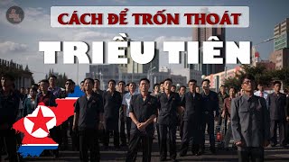 CÁCH ĐỂ TRỐN THOÁT KHỎI TRIỀU TIÊN | Tại sao rất ít người có thể đào tẩu?