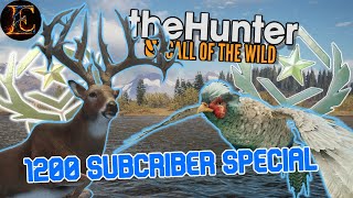 Hunting 2 INCREDIBLE GREAT ONES | 1200 Subscriber Special | The Hunter Call of the Wild.