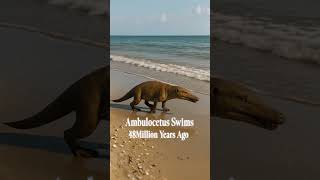 🐬🌊 Evolution of Dolphin 🌊🐬
