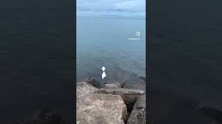 Beautiful Bluffer’s Park Beach in Canada