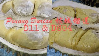 Durian Hooi: Penang Durian 槟城榴莲 – D604 \u0026 D11 (Ep.58)