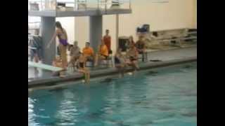 Back 1.5 (203c) Diving. Alli Book