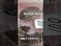 三河一色さかな村 あの珍しい蟹が1匹15円で販売 活魚 珍魚の宝庫 日本最高峰の朝市 魚市場 一色さかな村 朝市