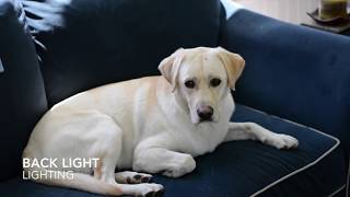 COM128 - Module 4-2: Video Assignment