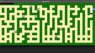 The Maze