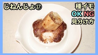 【楽々】波板自然薯ななめ栽培⑰ 種芋 OK品とNG品の見分け方