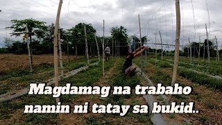 NAG LUSUNG ULET TAYO NG MGA ALAGAING HAYOP SA BUKID |