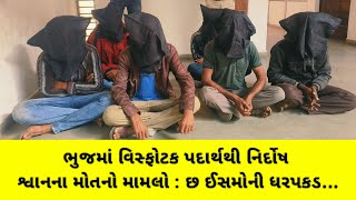 #ભુજમાં વિસ્ફોટક પદાર્થથી નિર્દોષ શ્વાનના મૃત્યુંનો મામલો : છ ઈસમોની ધરપકડ...