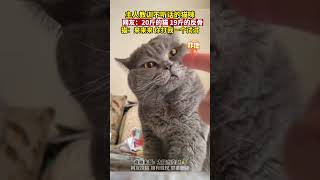 主人教训不听话的猫咪 网友：20斤的猫，19斤反骨  猫：来来来，你打我一个试试 #Chinanews #中国新闻 #中國新聞