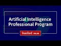 Artificial Intelligence Professional Program Overview
