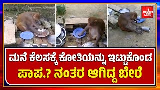 Viral News : ಮನೆ ಕೆಲಸ ಮಾಡುವ ಕೋತಿಯಿದು A monkey who does housework | Kannada News Live Updates