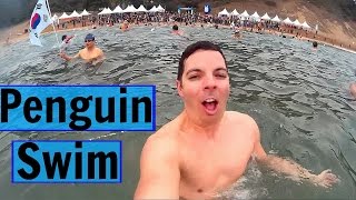 Jeju Island Korea Jungmun Beach - Penguin Swim