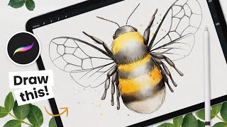 How To Draw A Watercolor Bumble Bee • Procreate Tutorial