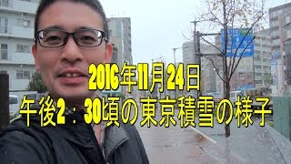 2016年11月24日午後2：30頃の東京積雪の様子