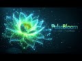 BELLE - PULSEBLOOM - MIXTAPE CONSTELLATION CANCRELOVE - CREA BLUE